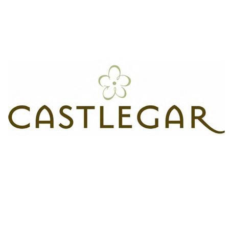 Castlegar cash in question - budgets underscore urgency of Celgar situation