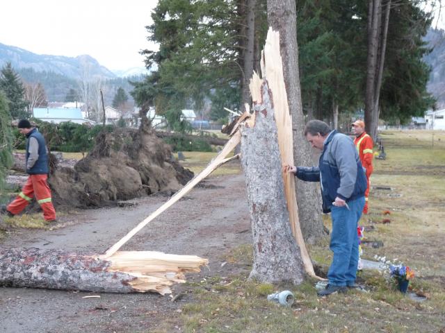 Windstorm leaves a trail of damage