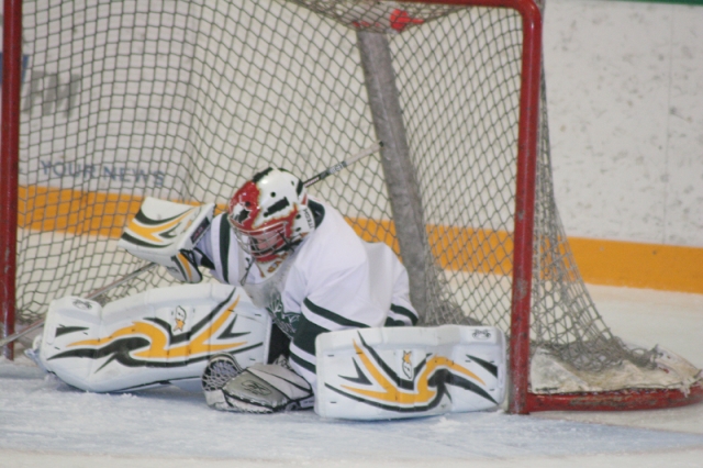 Castlegar sweeps pair from Nelson Peewee Leafs