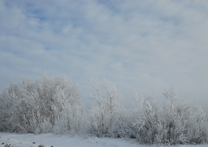 Snowfall warning in effect for Saturday night