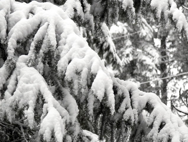 Snowfall warning in place for West Kootenay for Thursday