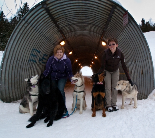  A walk to remember: Rossland dog owners hope to make a difference