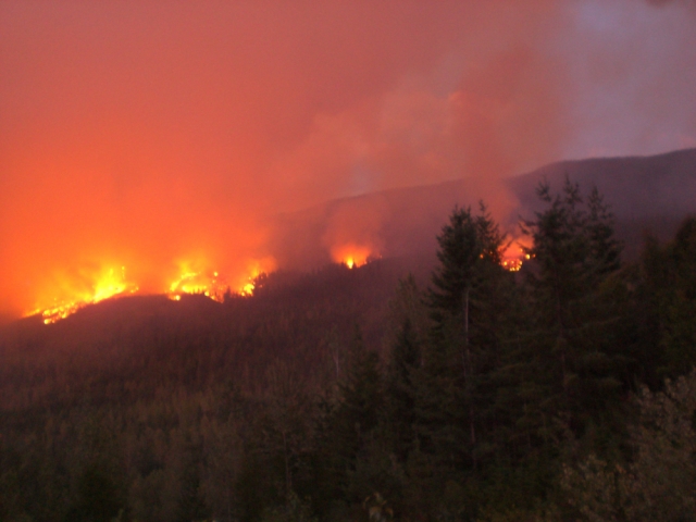 Prescribed burn set for Syringa Park this month