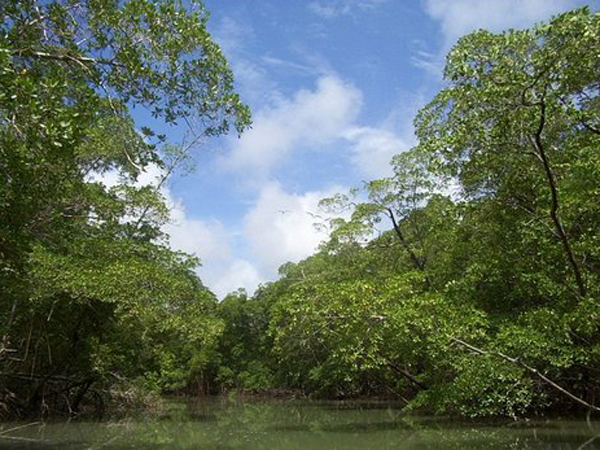 Scientists discover massive underground river 13,000 feet beneath the Amazon