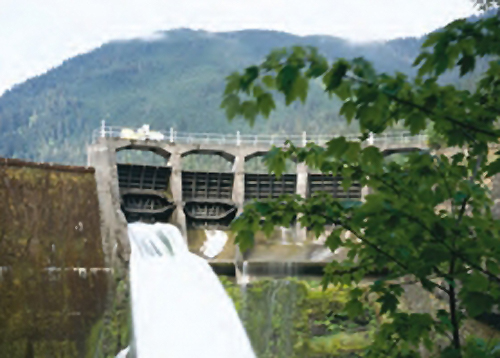 The Salmon are happy; Largest dam removal in U.S. history begins in Washington 