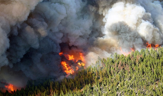 Pile burning south of Revelstoke may cause smoke