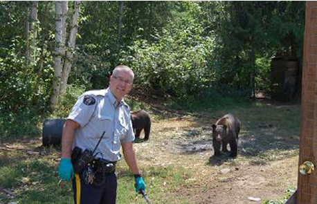 Christina Lake's grow-op guarding bears likely killed by conservation officers: Province