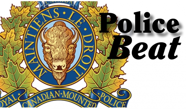 RCMP sieze another Slocan Valley residence through Property Restraint Order, owner faces charges in grow-up bust