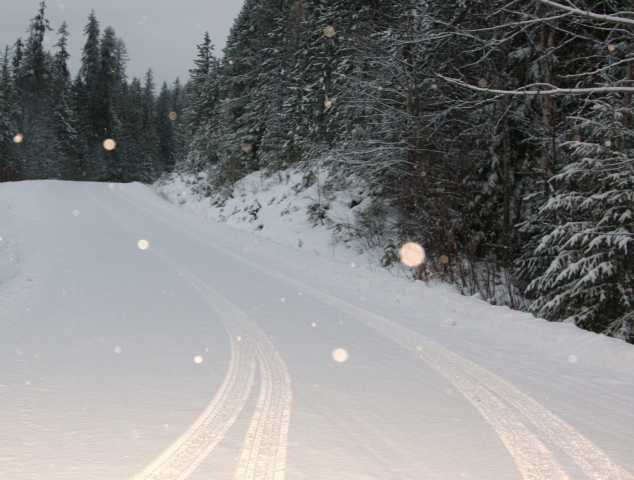 Bridesville residents say road conditions are unacceptable