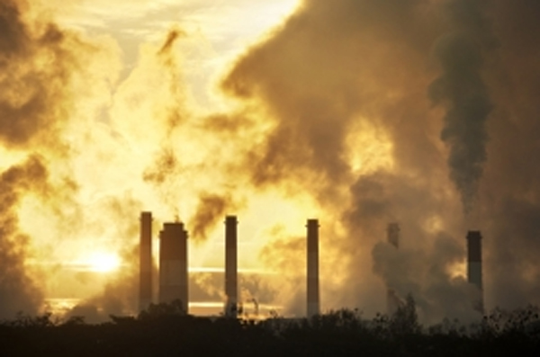 Study finds link between air pollution and increase in DNA damage