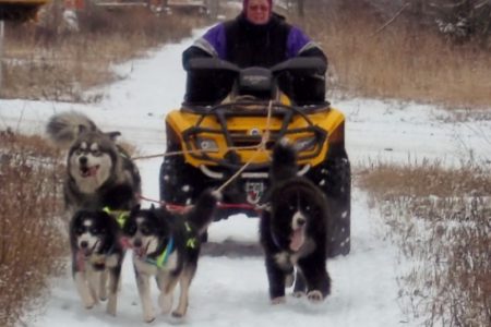 Mushing passion shared by Rail Trail 200 directors