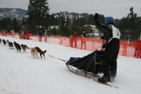 Dogs are off for the 2012 Rail Trail 200