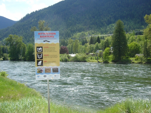 Clean, Drain, Dry will help prevent the spread of zebra mussels into the Kootenays