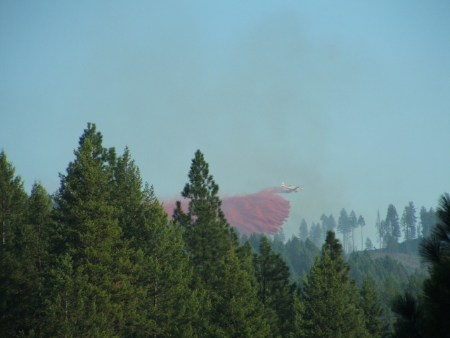 UPDATED: four buildings destroyed in suspicious fire at Christina Lake property renowned for bears/grow op