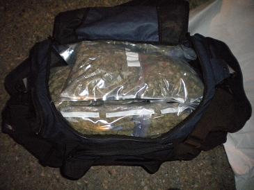 Speeding nets Calgary man a court date for marijuana trafficking