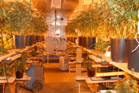 CFSEU-BC shutdown sophisticated Fraser Valley grow-ops 