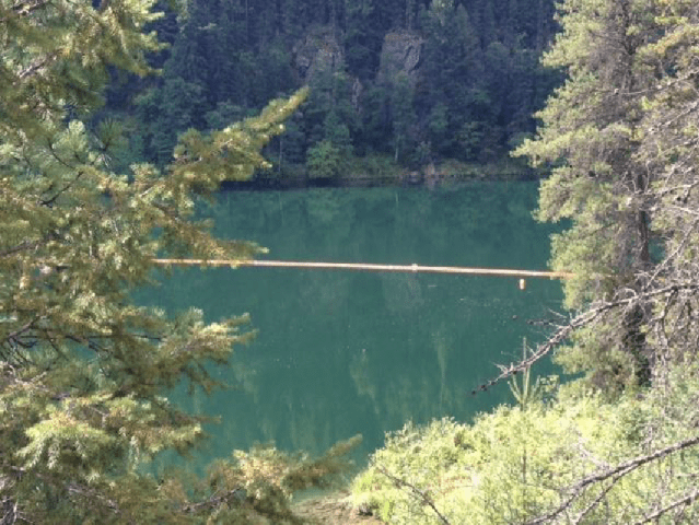IHA lifts Do-Not-Use order for Kootenay River, but not Lemon Creek or Slocan River