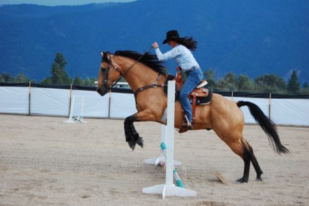 Three days of entertainment at the GF Fall Fair