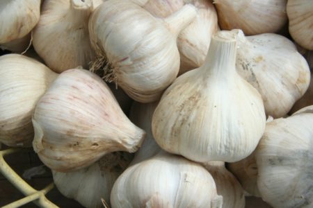 Study shows garlic makes baby formula safer to consume