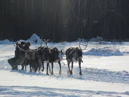 Santa's sleigh passes pre-flight inspection