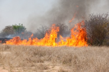 Open fire ban still in effect in Southeast Fire Centre