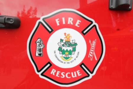 NFD responds to early morning tree fire