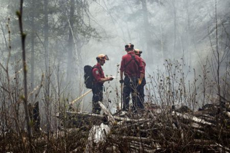 Mother Nature cools off Southeast Fire Centre; crews work to mop up Slocan Park wildfire