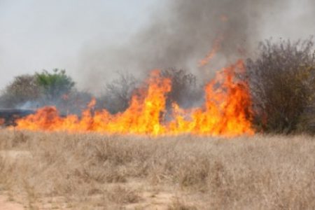 Open fires remain banned within Southeast Fire Centre