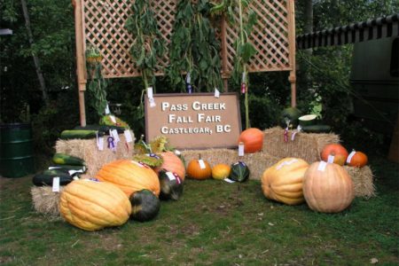 UPDATED: Petition to save Pass Creek Fall Fair