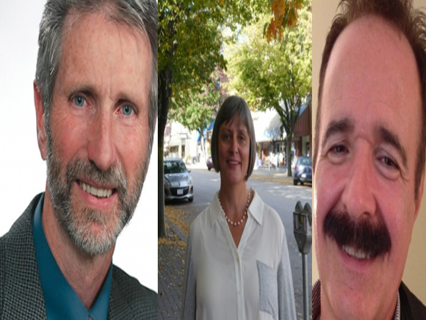 Deadline passes for local election candidates: plot thickens as trio run for Nelson Mayor's chair