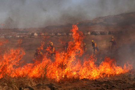 Open burning restricted in Southeast Fire Centre