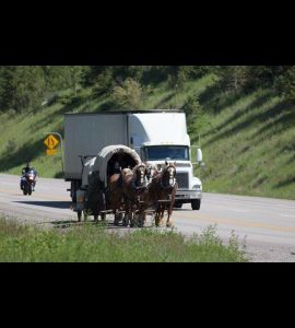 Singing cowboy crosses country in horse-drawn chuckwagon - with stops in Trail and Castlegar