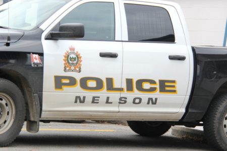 Two facing charges following alcohol-related calls to NPD