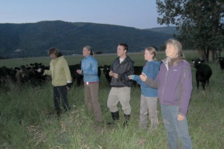 Volunteers need for the annual BC Bat Count