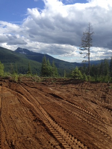 Local Armed Forces + non-profit community group = fun new recreation destination in Rossland Range