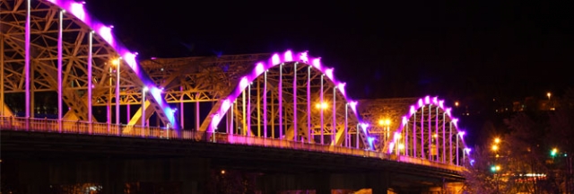 Companies/organizations to access bridge lights for special events