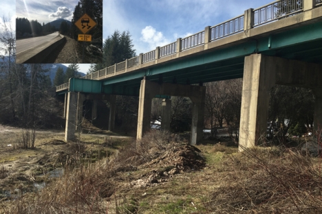 The end is near as South Slocan Overhead project goes to tender