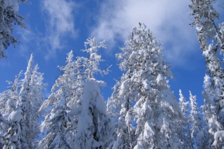 A solo skier with a sprained knee; Rossland SAR to the rescue