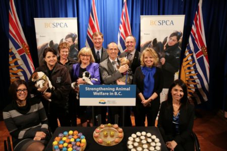 Legislation strengthens animal welfare protection