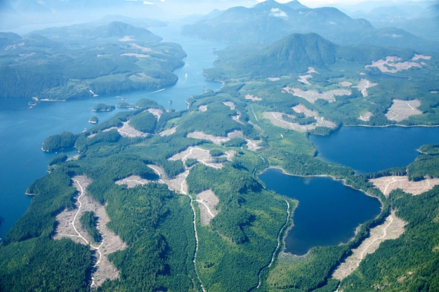 Civil Suit Alleges B.C. Blacklisting Forestry Consultant Who Warned of Timber Overcutting, Faulty Data