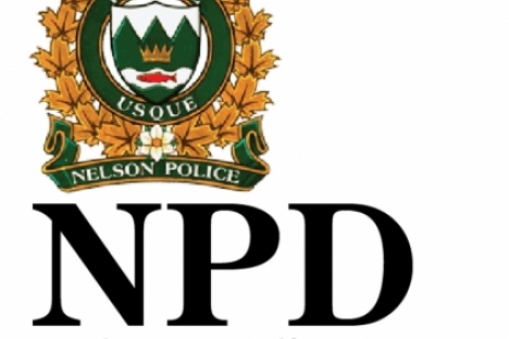 NPD arrest two men for possession of stolen property