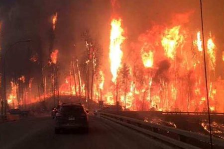 BC SPCA escalates rescue efforts for animals affected by wildfires