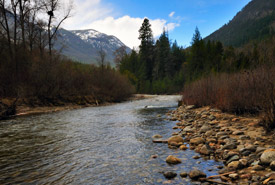 NCC closes Darkwoods due to Blazed Creek wildfire