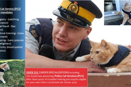 BC RCMP announce new Police Cat Services