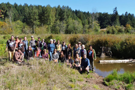 A FREE Workshop:  Wetlands and what to do about them