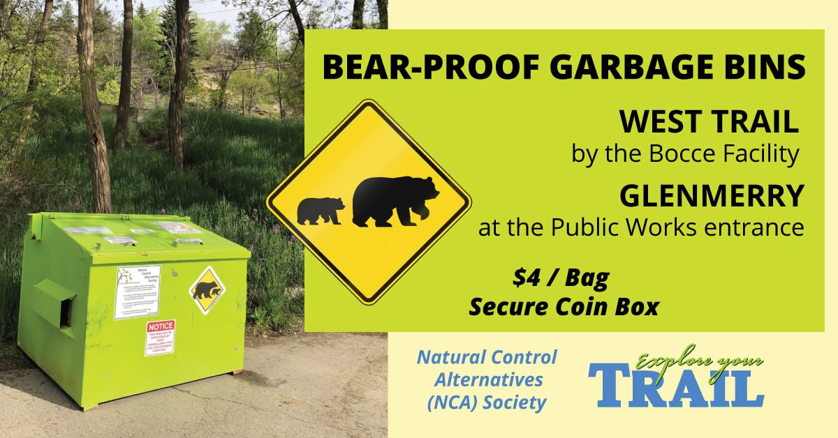 City of Trail makes bear-proof bins available now until fall
