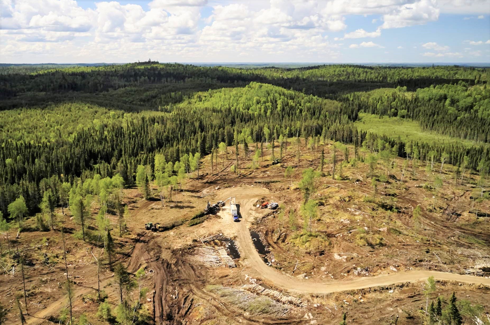 Canada is failing to track the true climate cost of clearcut logging in boreal: report