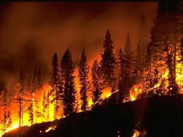 Human-caused fire near Castlegar under control, 174 firefighters continue to tackle Talbot Creek blaze