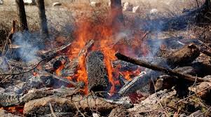 Category 2 fire prohibitions to start in the Southeast Fire Centre