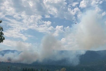 RDCK issues evacuation order for a total of 31 properties as Merry Creek fire reaches 15 hectares